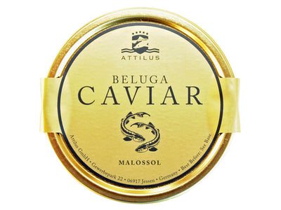 Beluga Kaviar